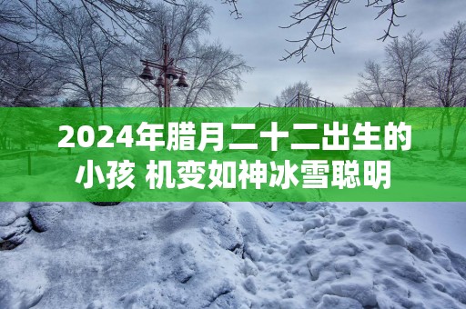 2025年腊月二十二出生的小孩 机变如神冰雪聪明