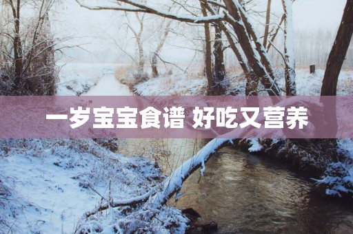 一岁宝宝食谱 好吃又营养
