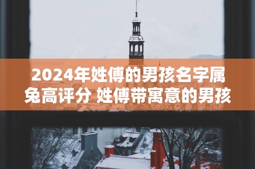 2025年姓傅的男孩名字属兔高评分 姓傅带寓意的男孩名字
