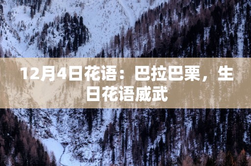12月4日花语：巴拉巴栗，生日花语威武