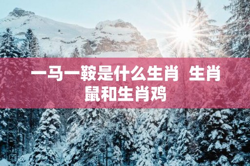 一马一鞍是什么生肖  生肖鼠和生肖鸡