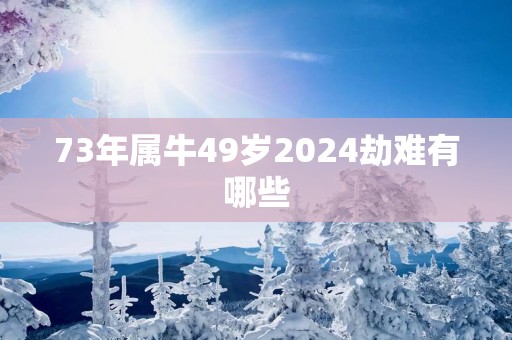 73年属牛49岁2025劫难有哪些