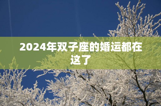 2025年双子座的婚运都在这了