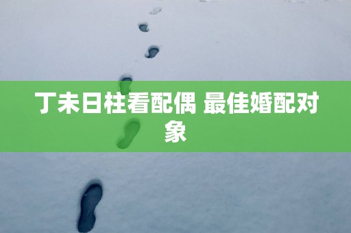 丁未日柱看配偶 最佳婚配对象