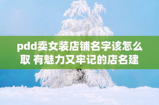 pdd卖女装店铺名字该怎么取 有魅力又牢记的店名建议