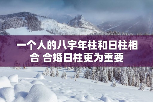一个人的八字年柱和日柱相合 合婚日柱更为重要