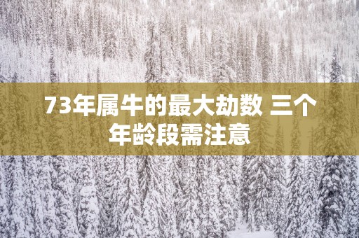 73年属牛的最大劫数 三个年龄段需注意