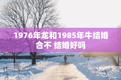 1976年龙和1985年牛结婚合不 结婚好吗