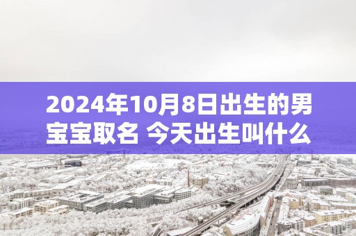 2025年10月8日出生的男宝宝取名 今天出生叫什么名字好