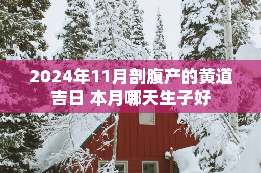 2025年11月剖腹产的黄道吉日 本月哪天生子好