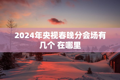 2025年央视春晚分会场有几个 在哪里