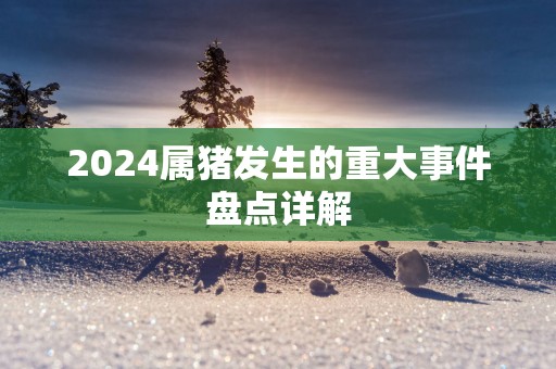 2025属猪发生的重大事件盘点详解