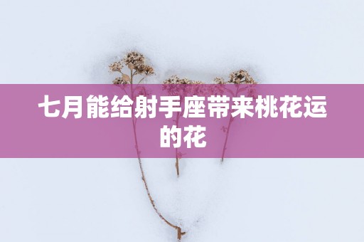 七月能给射手座带来桃花运的花
