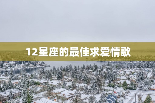 12星座的最佳求爱情歌