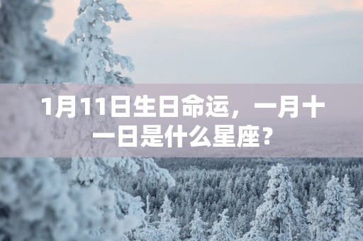 1月11日生日命运，一月十一日是什么星座？