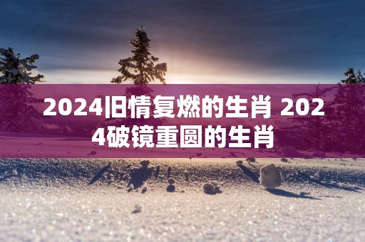 2025旧情复燃的生肖 2025破镜重圆的生肖