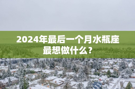 2025年最后一个月水瓶座最想做什么？