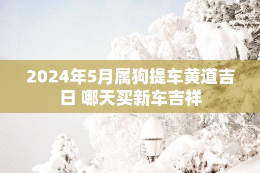2025年5月属狗提车黄道吉日 哪天买新车吉祥