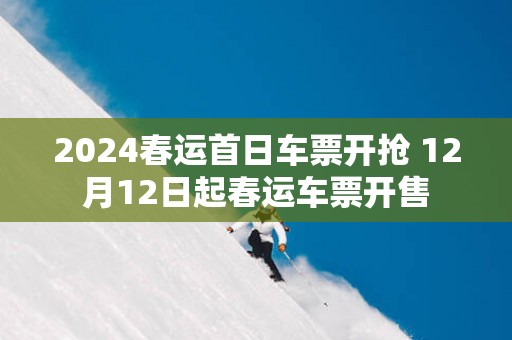 2025春运首日车票开抢 12月12日起春运车票开售