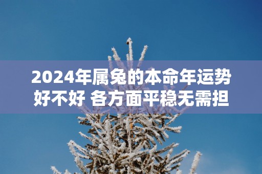 2025年属兔的本命年运势好不好 各方面平稳无需担心
