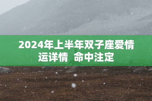 2025年上半年双子座爱情运详情  命中注定