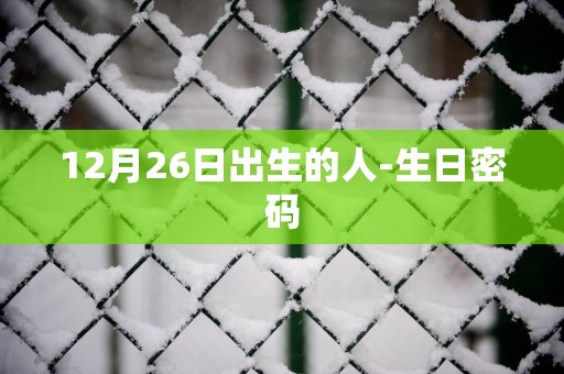 12月26日出生的人-生日密码