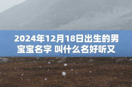 2025年12月18日出生的男宝宝名字 叫什么名好听又吉利