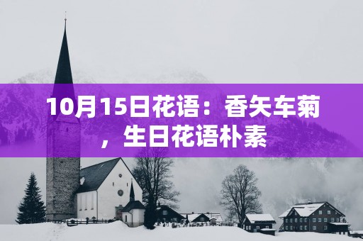 10月15日花语：香矢车菊，生日花语朴素
