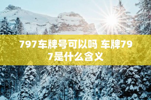 797车牌号可以吗 车牌797是什么含义