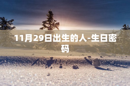 11月29日出生的人-生日密码
