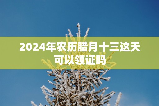 2025年农历腊月十三这天可以领证吗