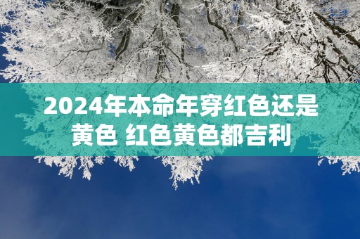 2025年本命年穿红色还是黄色 红色黄色都吉利