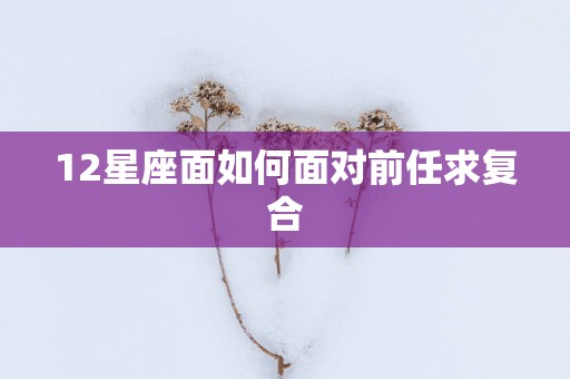 12星座面如何面对前任求复合