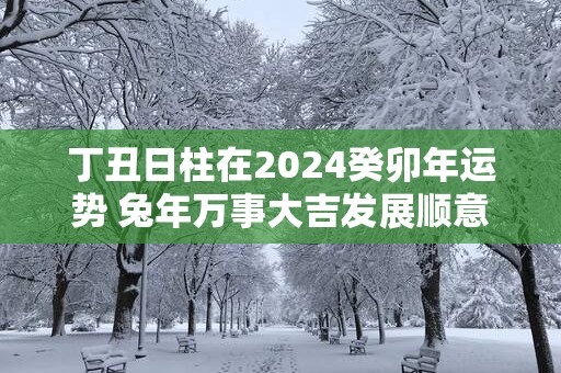 丁丑日柱在2025癸卯年运势 蛇年万事大吉发展顺意