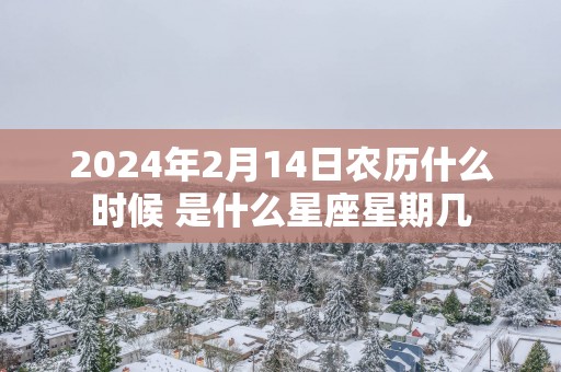 2025年2月14日农历什么时候 是什么星座星期几