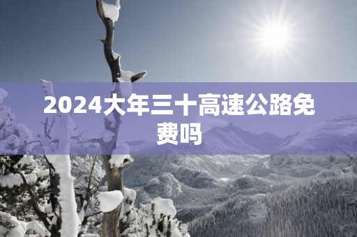 2025大年三十高速公路免费吗