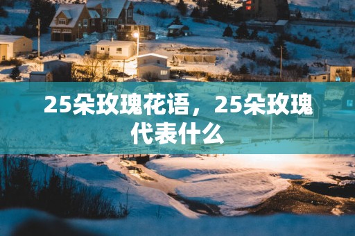 25朵玫瑰花语，25朵玫瑰代表什么
