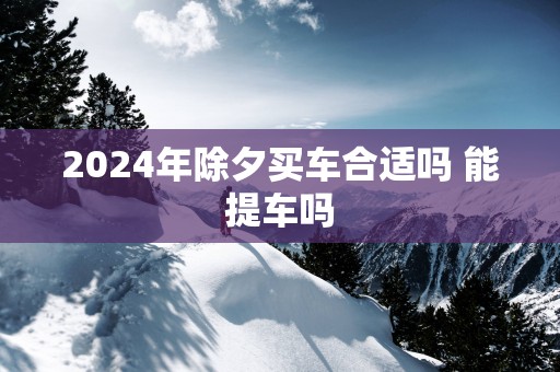 2025年除夕买车合适吗 能提车吗
