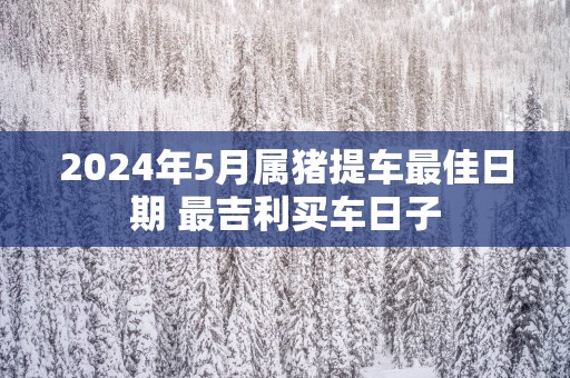 2025年5月属猪提车最佳日期 最吉利买车日子