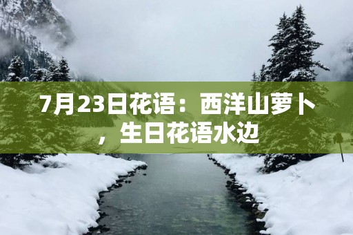 7月23日花语：西洋山萝卜，生日花语水边