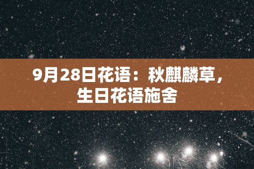 9月28日花语：秋麒麟草，生日花语施舍