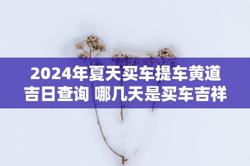 2025年夏天买车提车黄道吉日查询 哪几天是买车吉祥日子