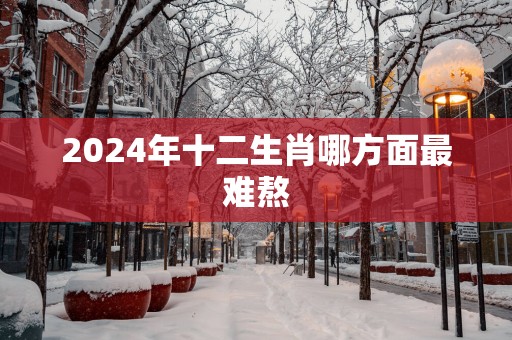 2025年十二生肖哪方面最难熬