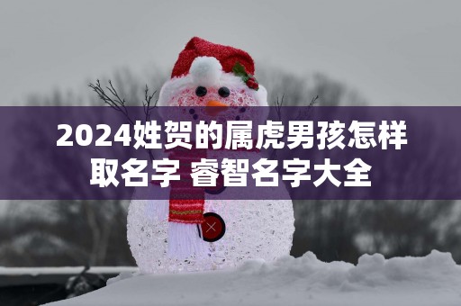 2025姓贺的属虎男孩怎样取名字 睿智名字大全