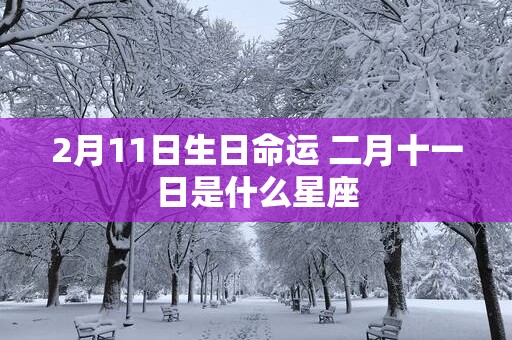 2月11日生日命运 二月十一日是什么星座