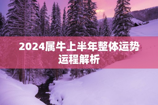 2025属牛上半年整体运势运程解析