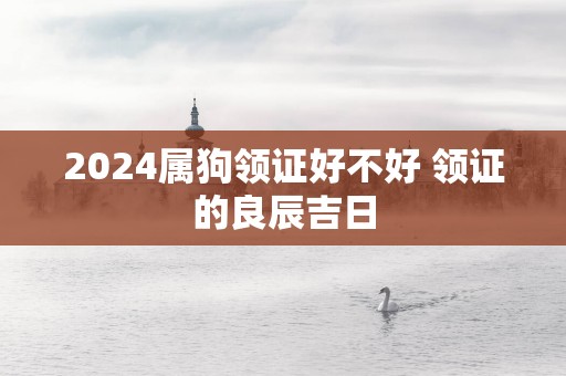 2025属狗领证好不好 领证的良辰吉日