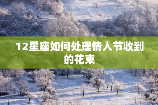 12星座如何处理情人节收到的花束