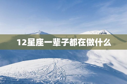 12星座一辈子都在做什么