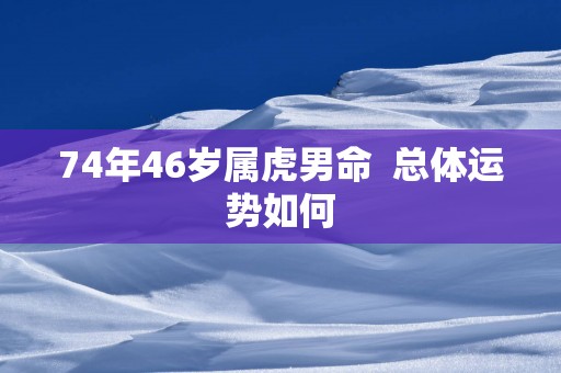 74年46岁属虎男命  总体运势如何
